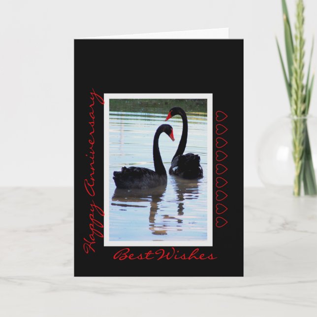 Carte d'anniversaire des cygnes noirs (Devant)