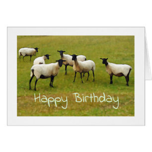 Carte d'anniversaire des moutons