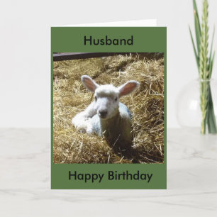 Carte d'anniversaire des moutons d'agneau Personna