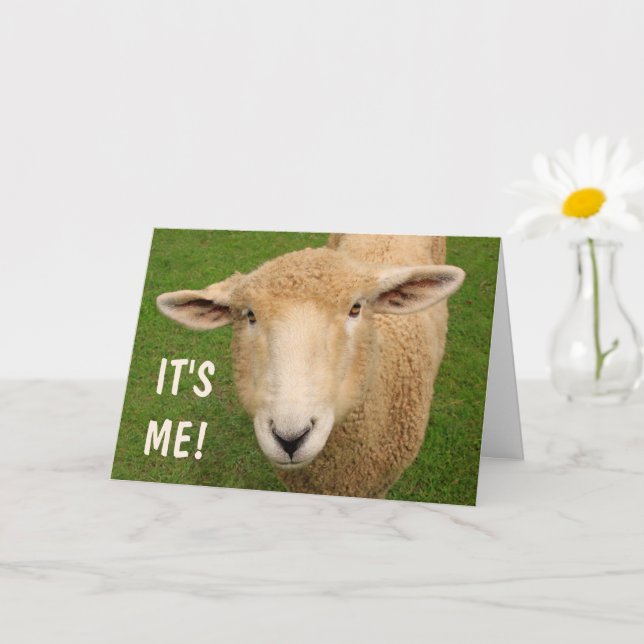 Carte d'anniversaire des moutons doux (Petite plante)