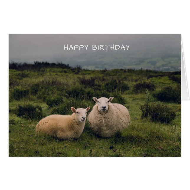 Carte d'anniversaire des moutons mignons (Devant horizontal)