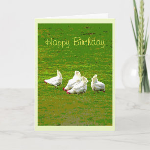 Carte d'anniversaire des poules blanches