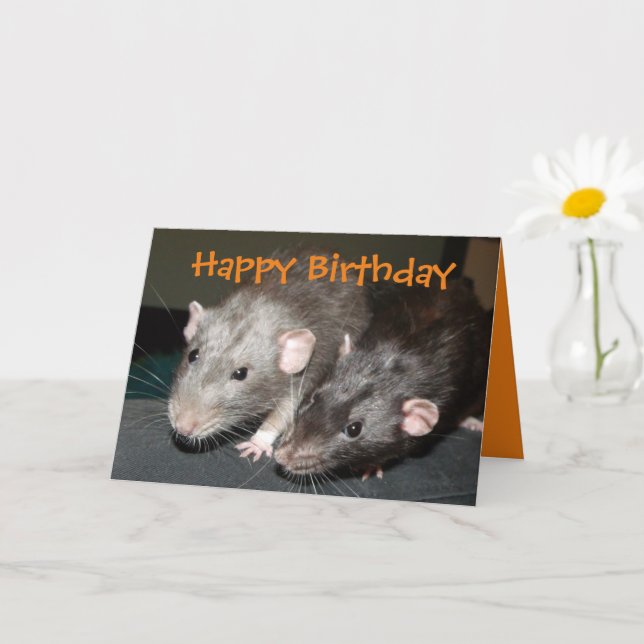 Carte d'anniversaire des rats Dumbo Cheeky (Petite plante)