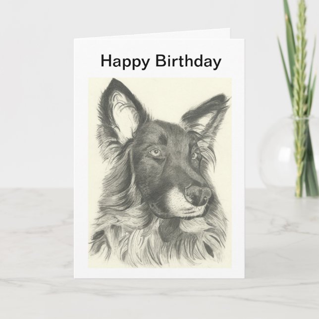 Carte d'anniversaire dessin au crayon d'un berger  (Devant)