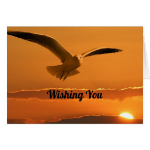 Carte d'anniversaire d'oiseau volant