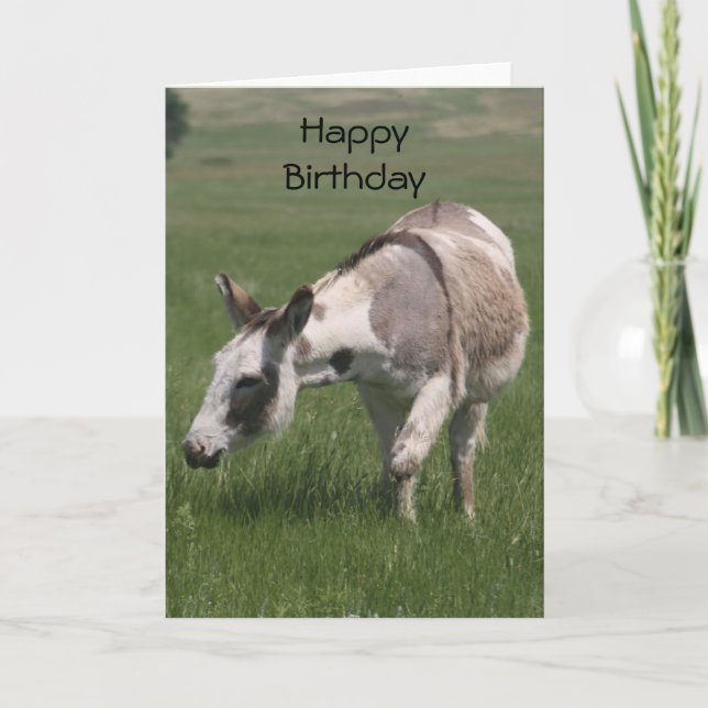 Carte d'anniversaire Donkey (Devant)