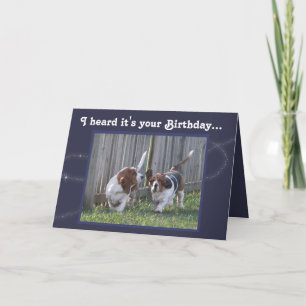 Carte d'anniversaire drôle avec Basset Hounds & Ba