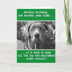 Carte d'anniversaire drôle avec photo de chien per