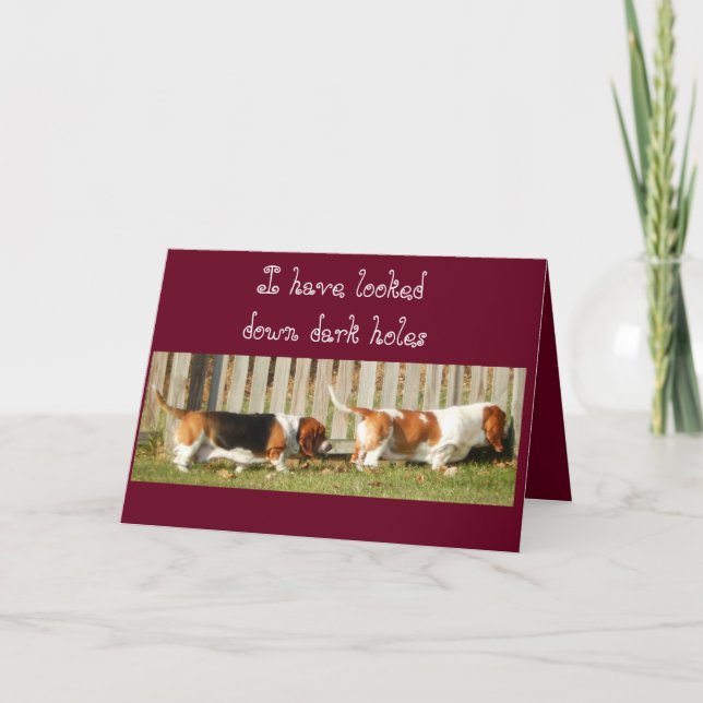 Carte d'anniversaire drôle avec recherche Basset H (Devant)