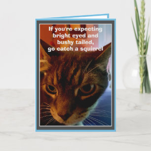 Carte d'anniversaire drôle avec un chat sarcastiqu