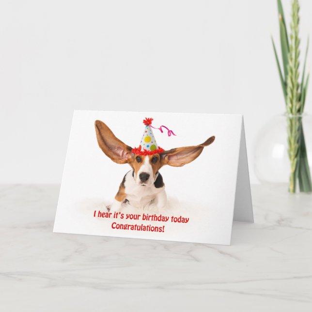 Carte d'anniversaire drôle Chien basset aux grande (Devant)