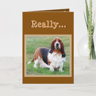 Carte d'anniversaire drôle de "années de chien" de