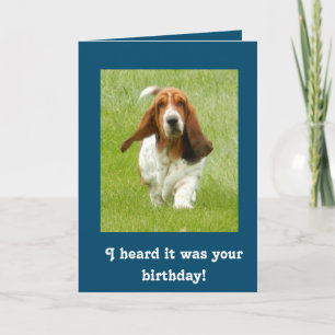 Carte d'anniversaire drôle de Basset Hound
