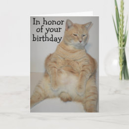 Carte d'anniversaire drôle de chat Manx gras assis