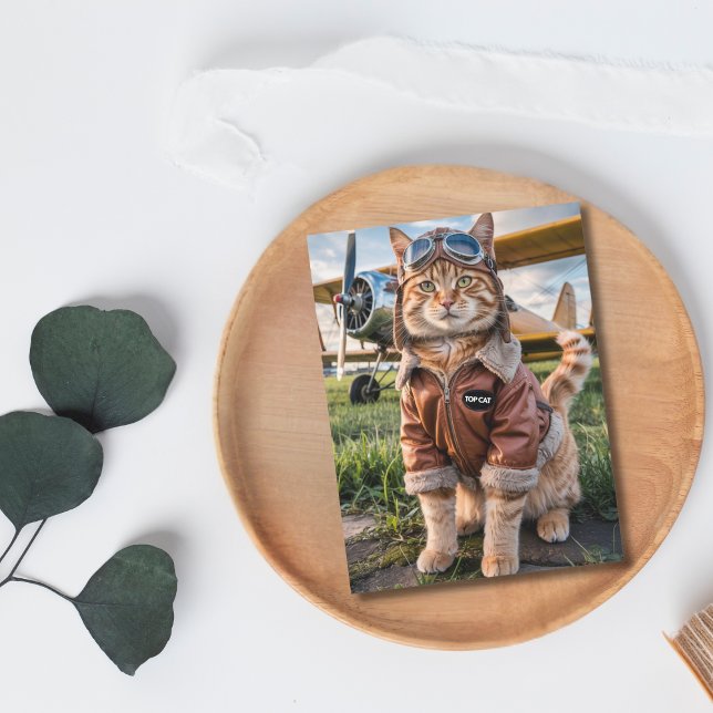 Carte d'anniversaire drôle de chat pilote et d'avi (Front )