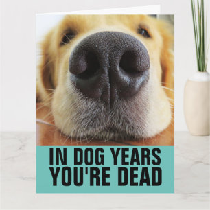 CARTE D'ANNIVERSAIRE DRÔLE DE CHIEN