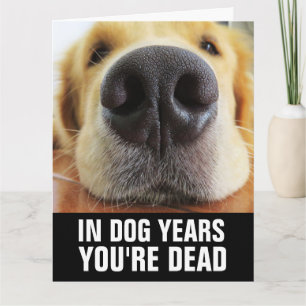 CARTE D'ANNIVERSAIRE DRÔLE DE CHIEN