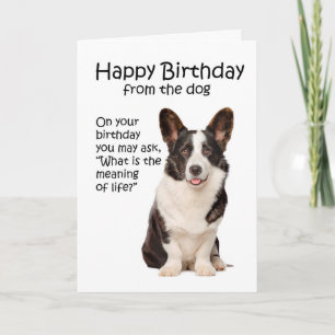 Carte d'anniversaire drôle de Corgi