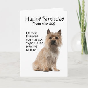 Carte d'anniversaire drôle de Terrier de cairn