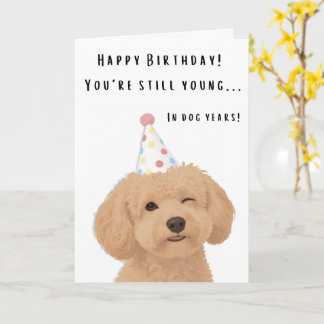 Carte d'anniversaire drôle pour chien avec blague