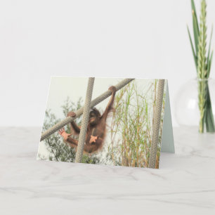 Carte d'anniversaire du bébé Orangoutan