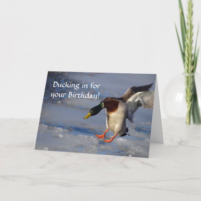 Carte d'anniversaire du canard Mallard (Devant)
