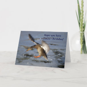 Carte d'anniversaire du canard Mallard