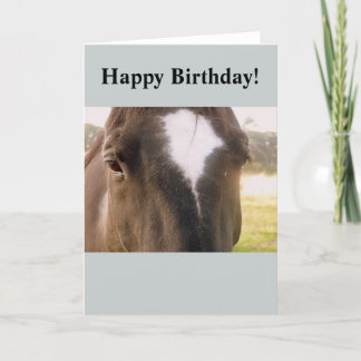 Carte d'anniversaire du cheval