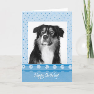 Carte d'anniversaire du chien berger australien mi