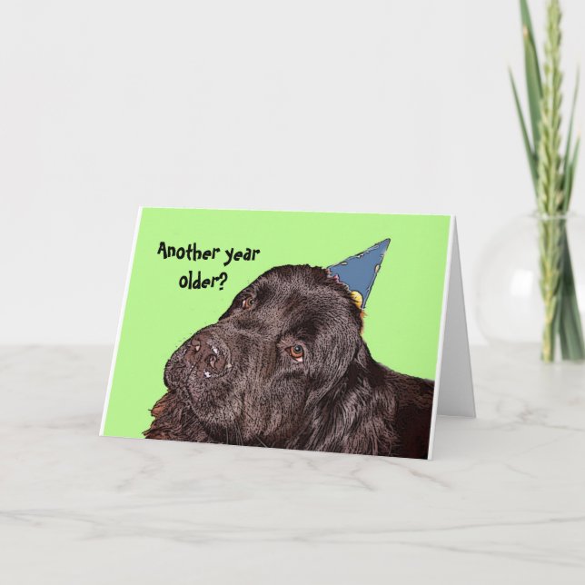 Carte d'anniversaire du chien de Terre-Neuve (Devant)