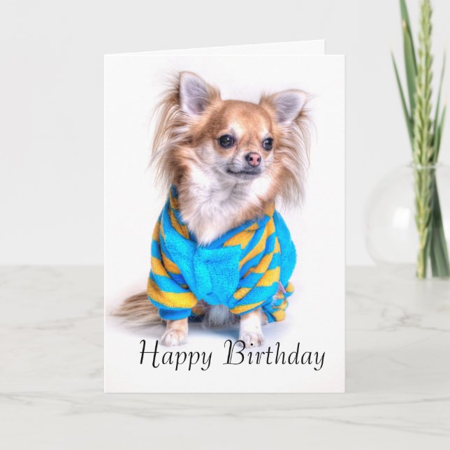 Carte d'anniversaire du Chihuahua (Devant)
