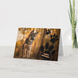 Carte d'anniversaire du chiot berger allemand.
