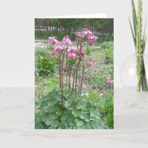 Carte d'anniversaire du Colorado Columbine