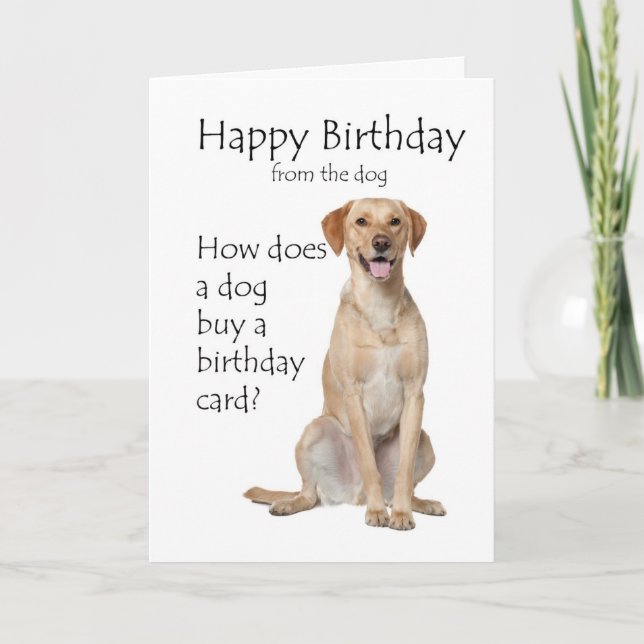 Carte d'anniversaire du Laboratoire Jaune (Devant)