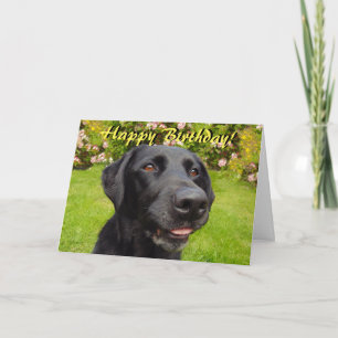 Carte d'anniversaire du labrador noir