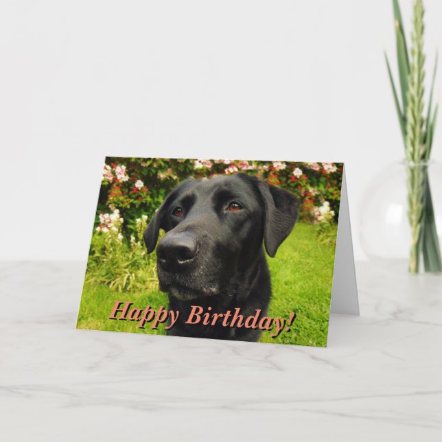 Carte d'anniversaire du labrador noir (Devant)