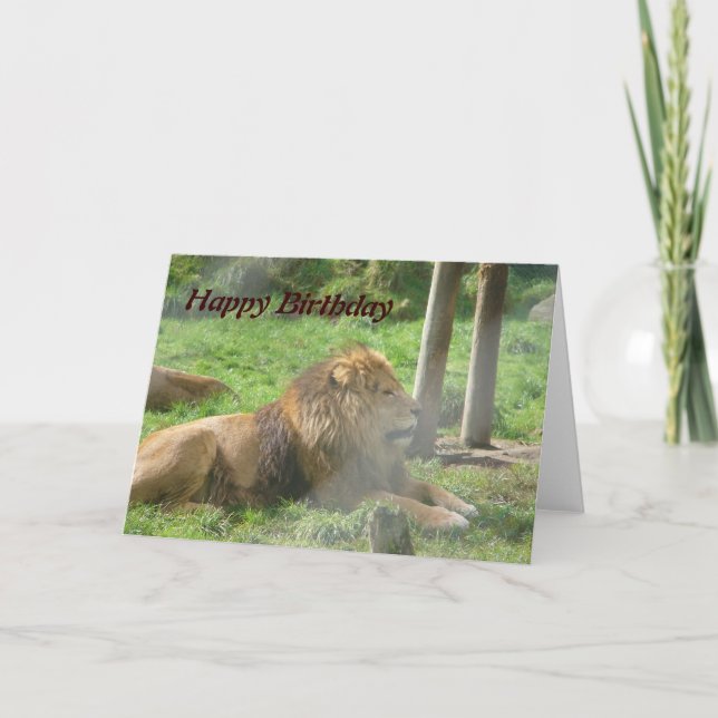 Carte d'anniversaire du lion (Devant)