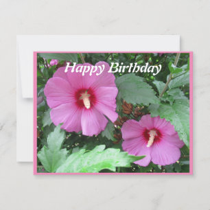 Carte d'anniversaire du rose de Sharon