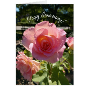 Carte d'anniversaire du Rose de thé rose radiant