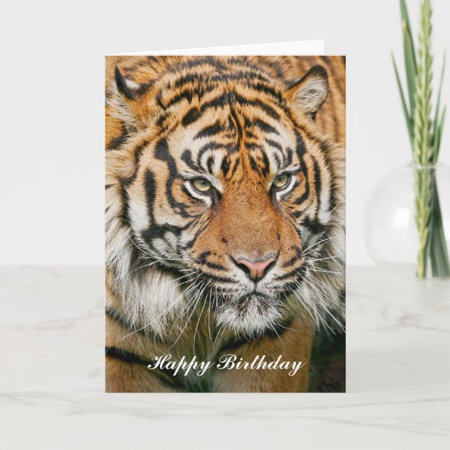 Carte d'anniversaire du tigre (Devant)