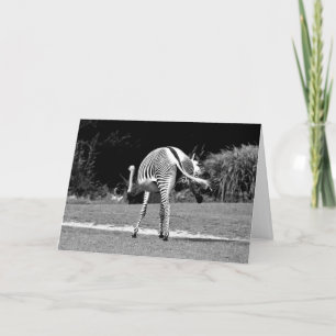 Carte d'anniversaire du Zebra Dancing