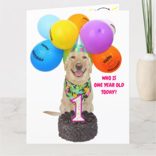 Carte d'anniversaire d'un an pour animal domestiqu