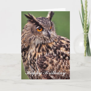 Carte d'anniversaire Eagle Owl
