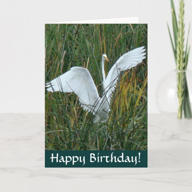 Carte d'anniversaire Egret Happy (Devant)