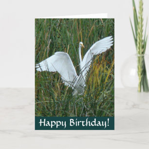 Carte d'anniversaire Egret Happy