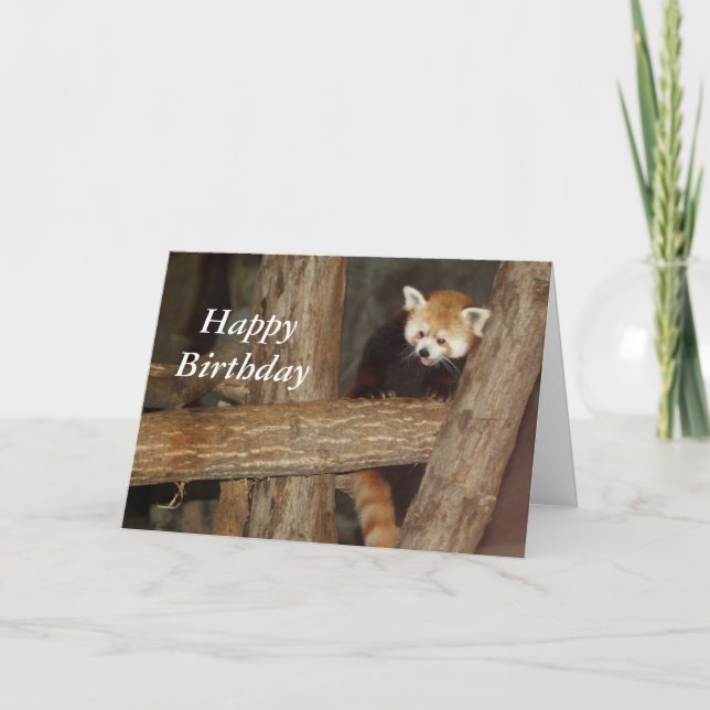 Carte d'anniversaire Escalade Panda (Devant)