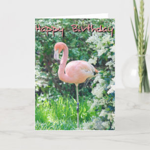 Carte d'anniversaire Flamant rose