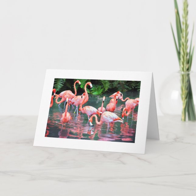 Carte d'anniversaire Flamant rose (Devant)