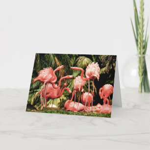 Carte d'anniversaire Flamingo Flamboyance