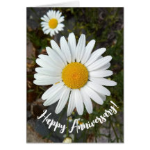 Carte d'anniversaire Fleur de marguerite blanche g